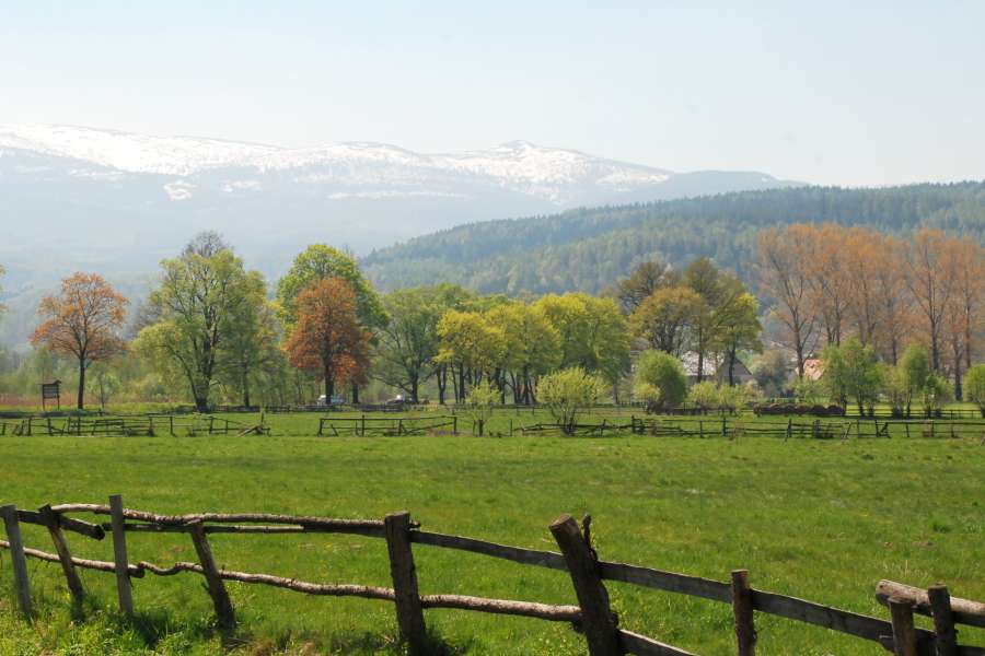 Sudety, Pogórze Karkonoskie, ośnieżone Karkonosze