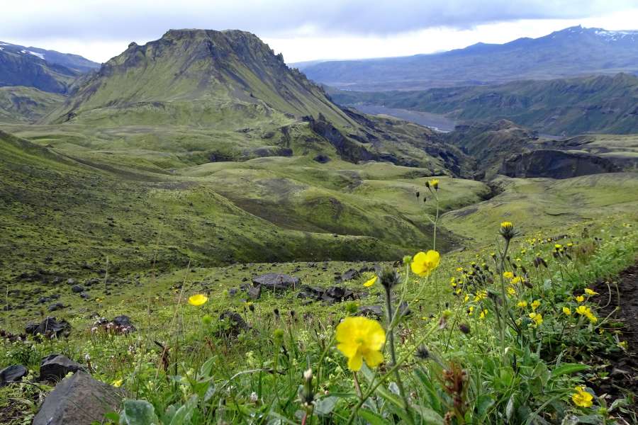Góry Laugavegur, Islandia