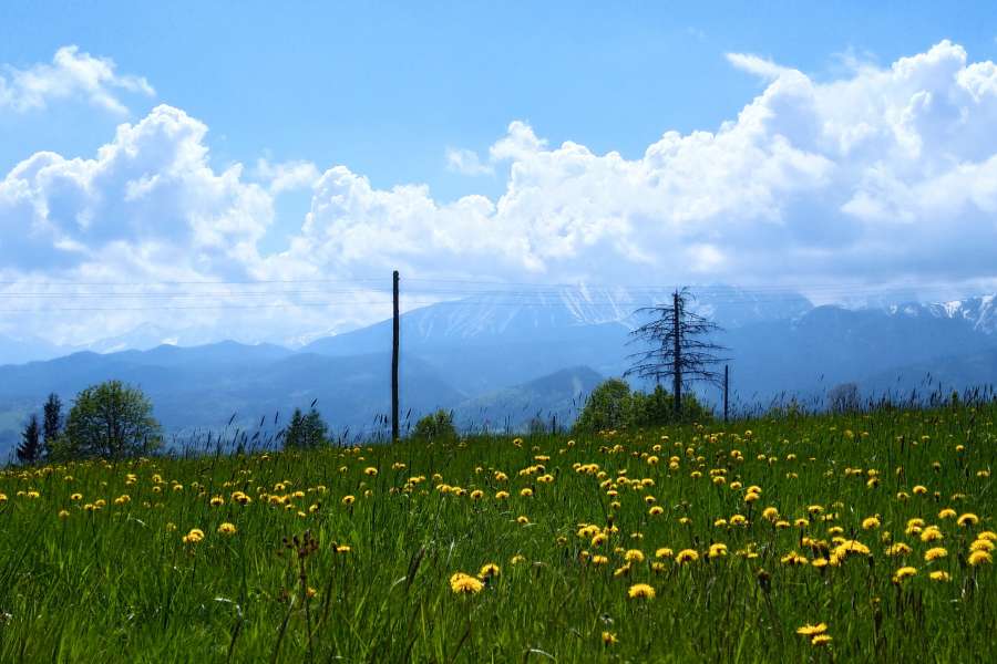 Gubałłówka ośniezone Tatry